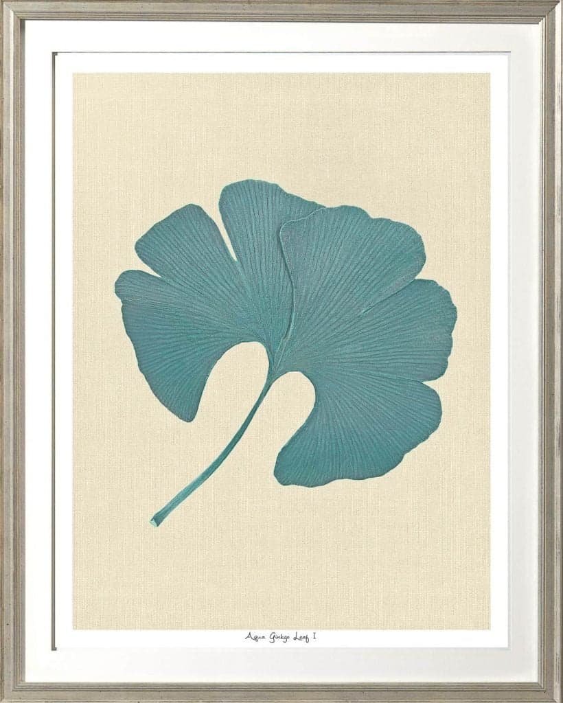 Aqua Ginkgo