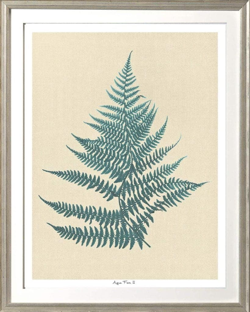 Aqua Fern II