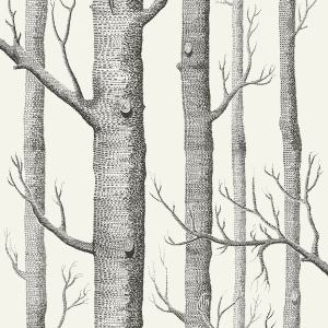 Rousseaus Cole & Son Wallpaper Woods