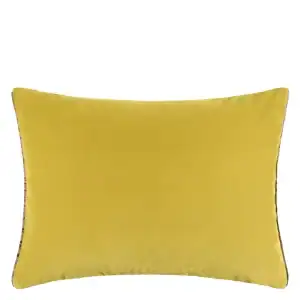 Cassia Alchemellia Cushion