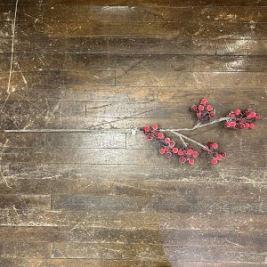 Iced Rosehip Spray