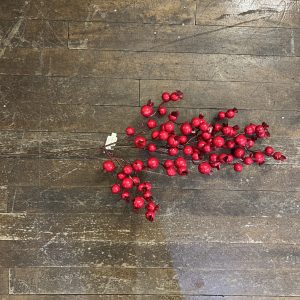 Rosehip Berry Spray 24"
