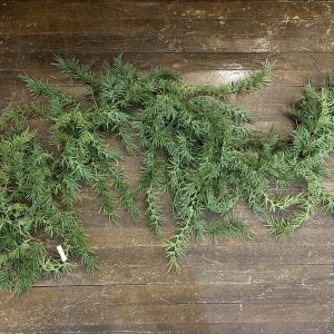 Weeping Pine Garland 6'