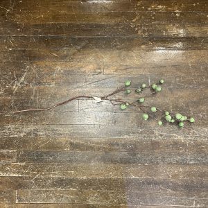 Green Rosehip Spray 36"