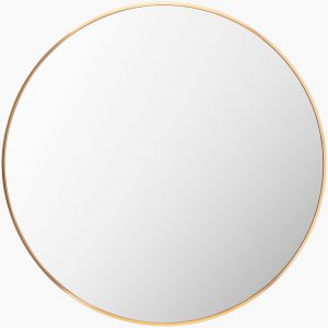 Aranya Mirror