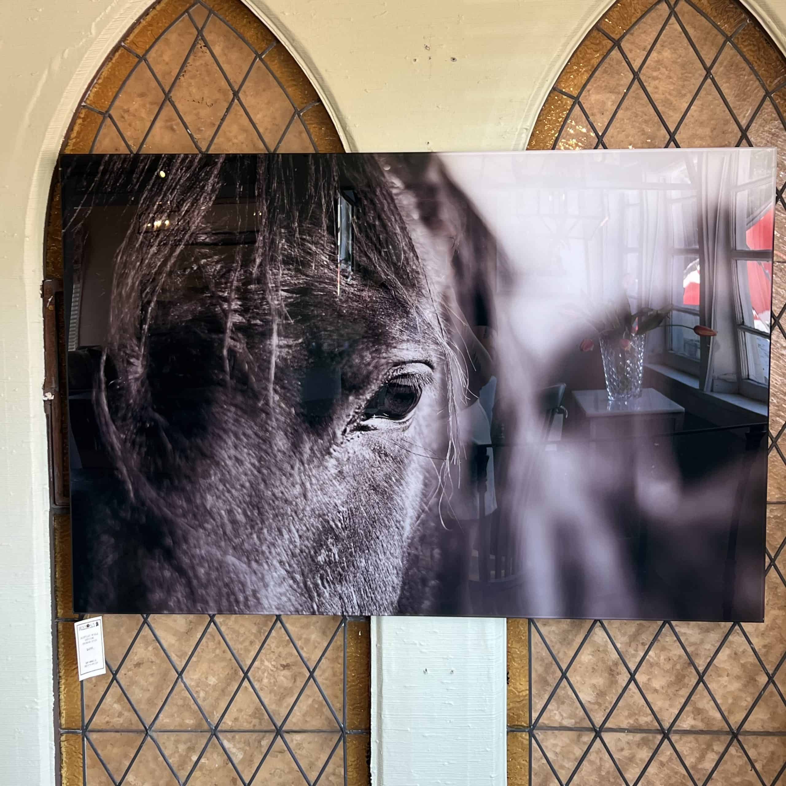 Acrylic Horse Print